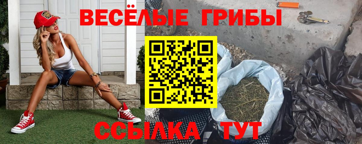 Псилоцибиновые грибы прущие грибы Ахтубинск