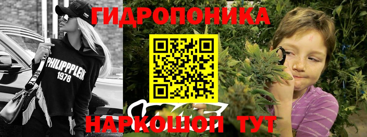 Бошки марихуана планчик Ахтубинск